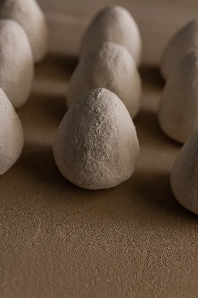 Parmesan of the Desert